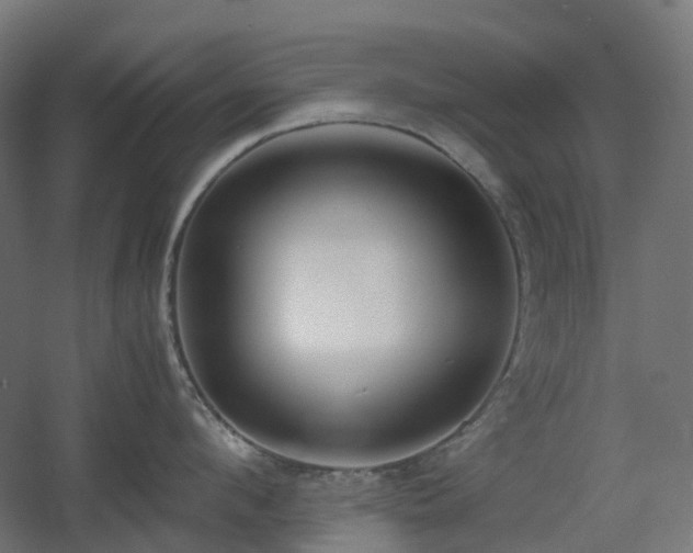 X0000060550912200511031213