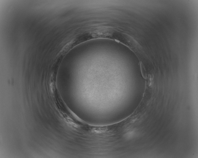 X0000060550915200511031213