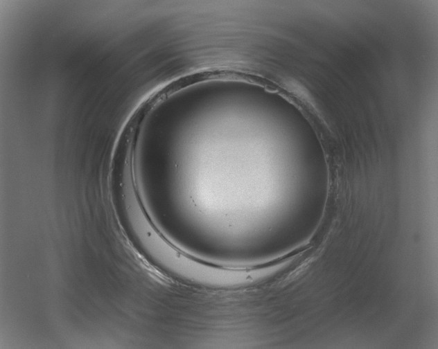 X0000060550924200511031213