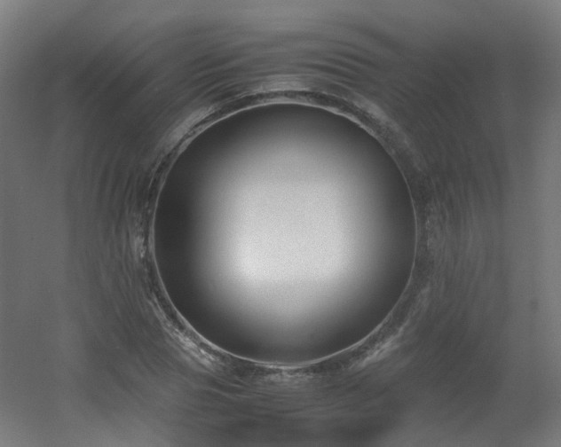 X0000060550929200511031213