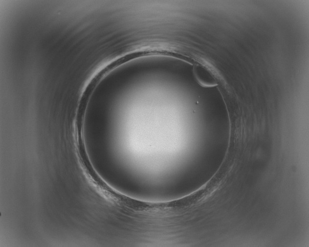 X0000060550936200511031213