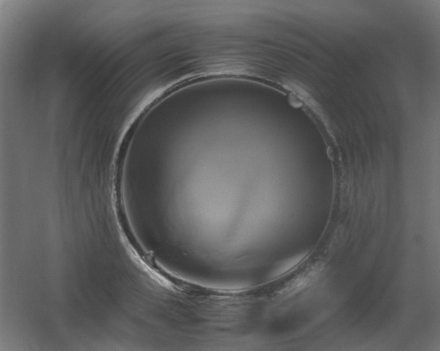 X0000060550941200511031213