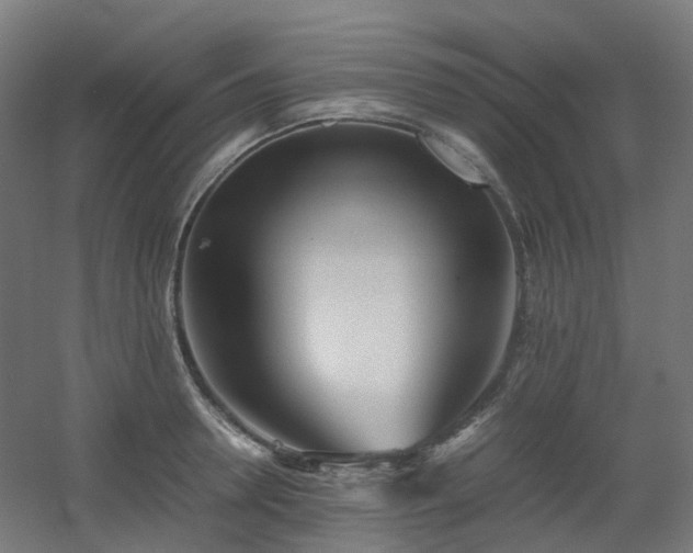 X0000060550946200511031213