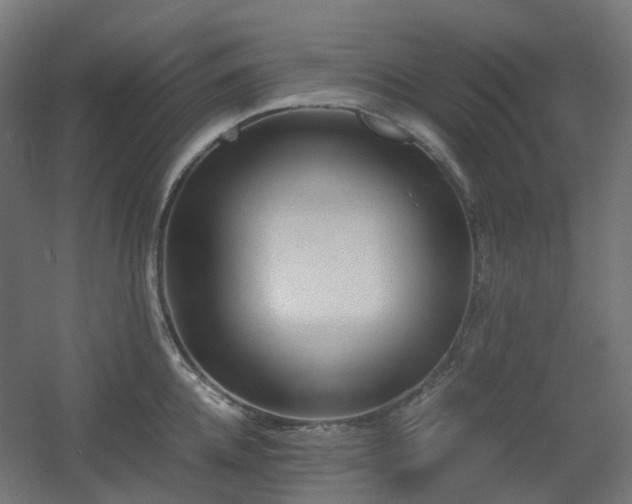 X0000060550952200511031213