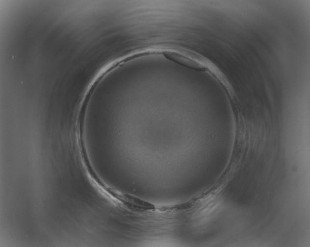 X0000060550958200511031213