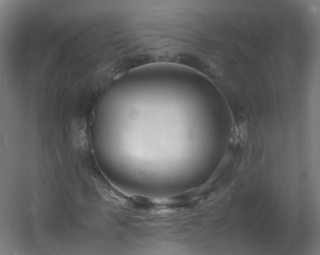 X0000060550963200511031212