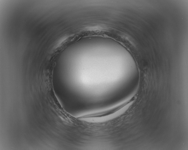 X0000060550968200511031212
