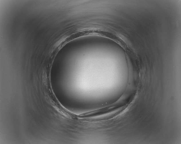 X0000060550969200511031212