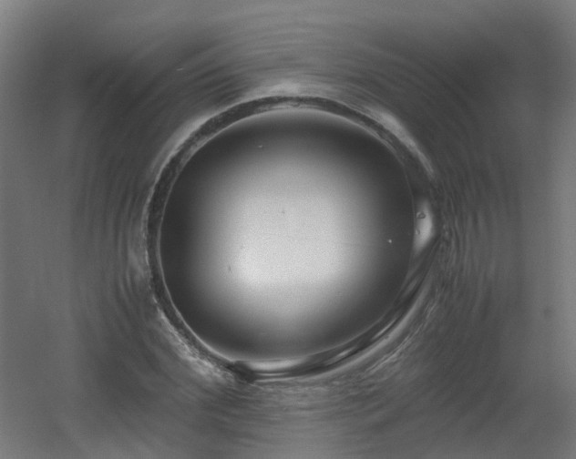 X0000060550972200511031212