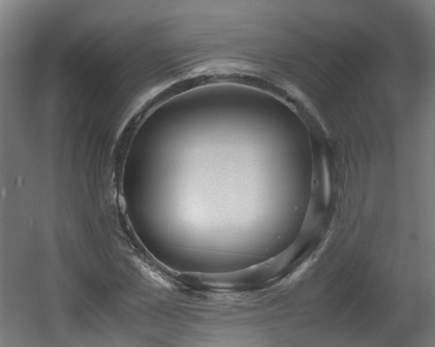 X0000060550973200511031212