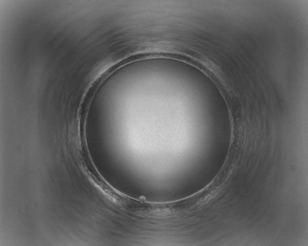 X0000060550982200511031212