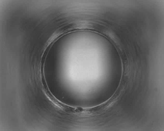 X0000060550986200511031212