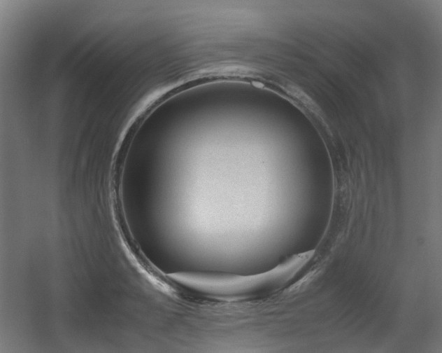 X0000060550989200511031212