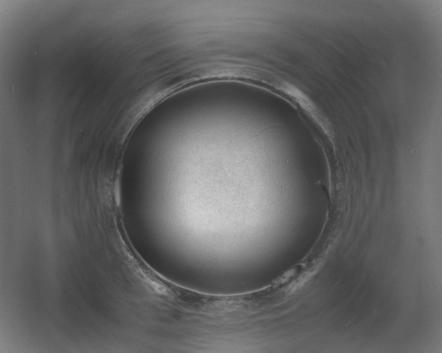 X0000060550993200511031212
