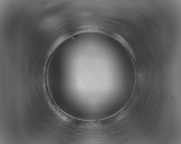 X0000060551002200511031212