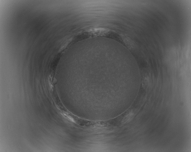 X0000060551010200511031211
