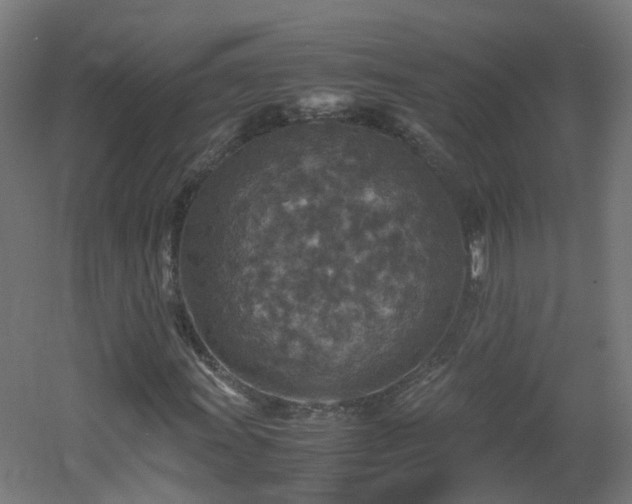 X0000060551011200511031211