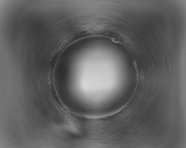 X0000060551012200511031211