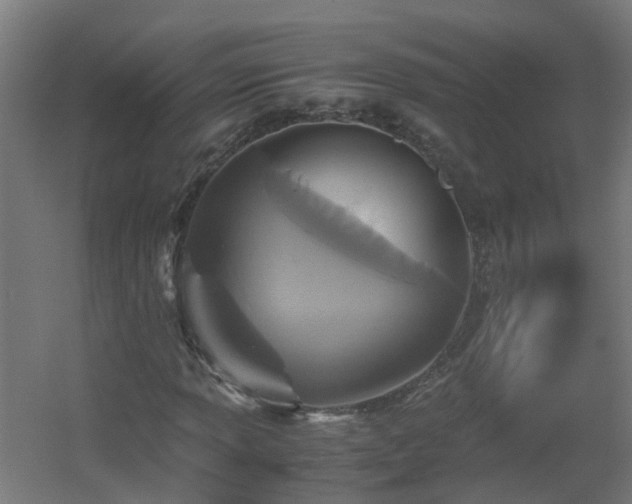 X0000060551013200511031211