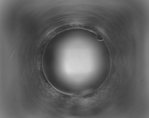 X0000060551015200511031211