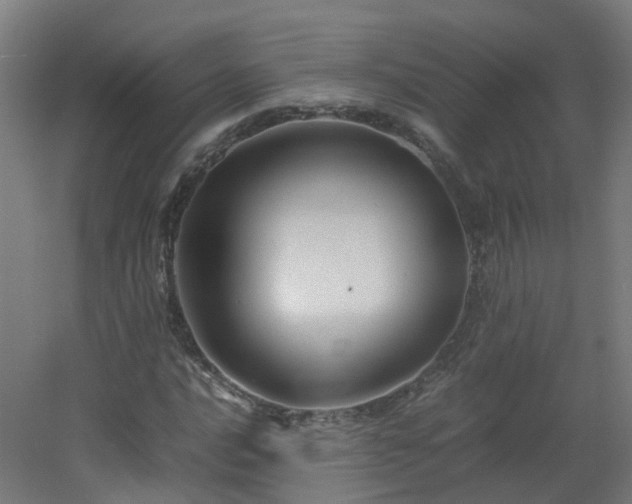 X0000060551016200511031211