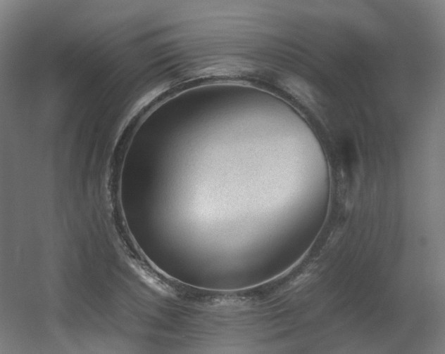 X0000060551026200511031211