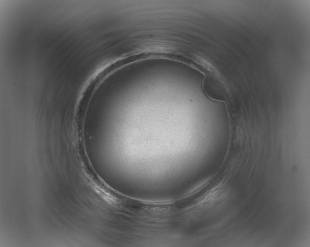 X0000060551027200511031211