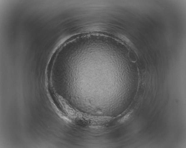 X0000060551031200511031211