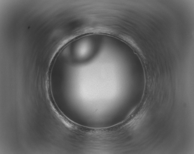 X0000060551040200511031211