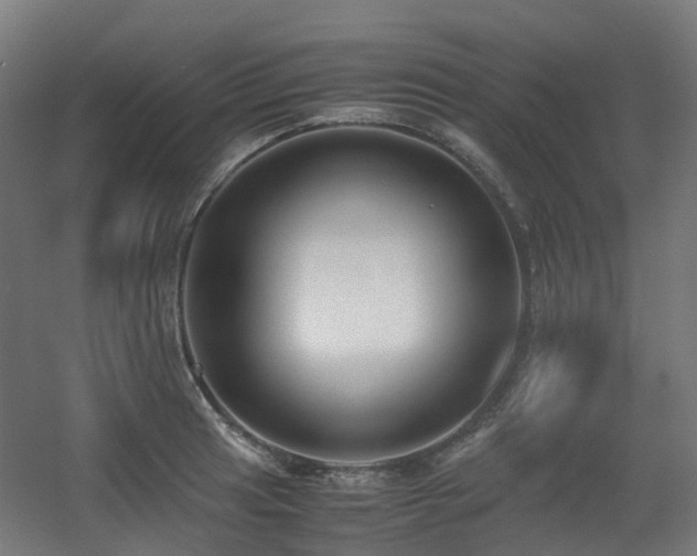X0000060551041200511031211
