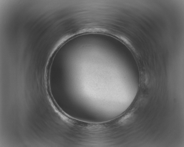 X0000060551046200511031211