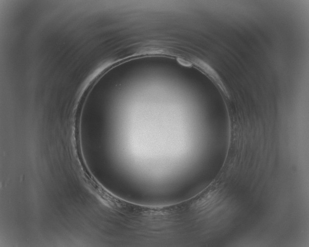 X0000060551051200511031212