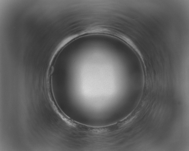 X0000060551053200511031212