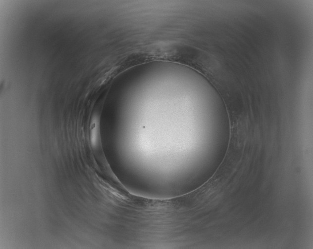 X0000060551058200511031211