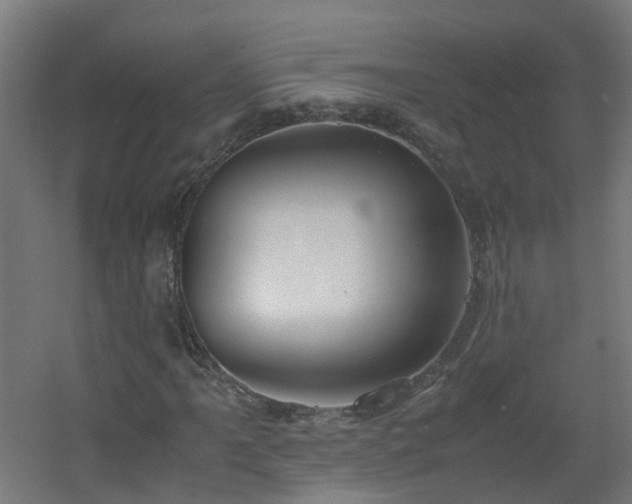 X0000060551061200511031211