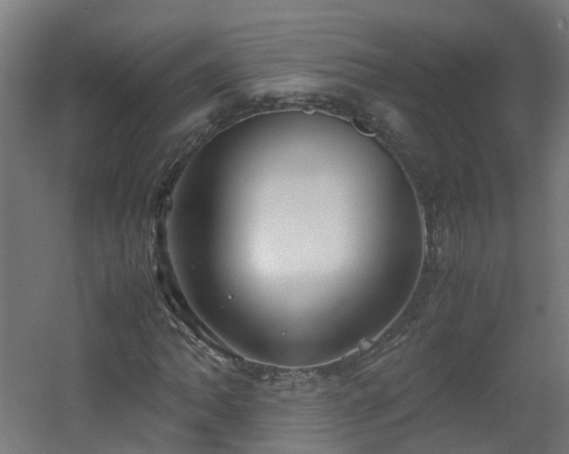 X0000060551062200511031211