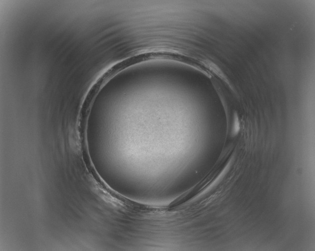 X0000060551068200511031211