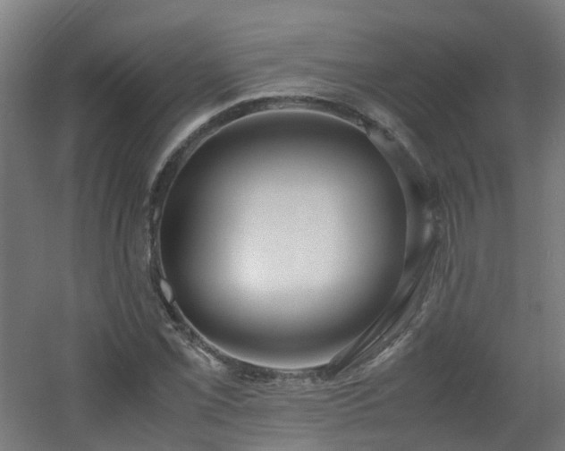 X0000060551069200511031211
