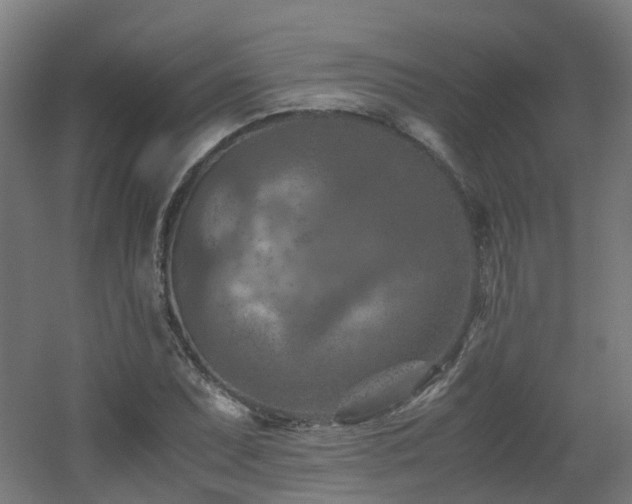 X0000060551071200511031211