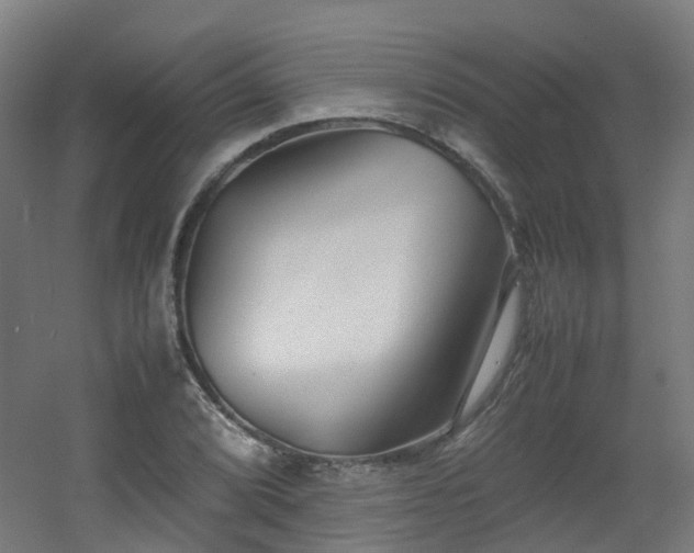 X0000060551072200511031211