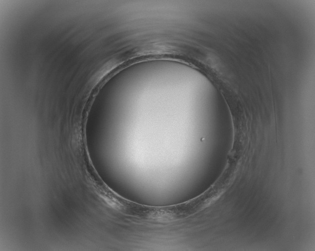 X0000060551073200511031211