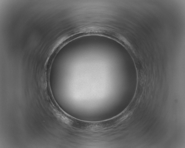 X0000060551075200511031211