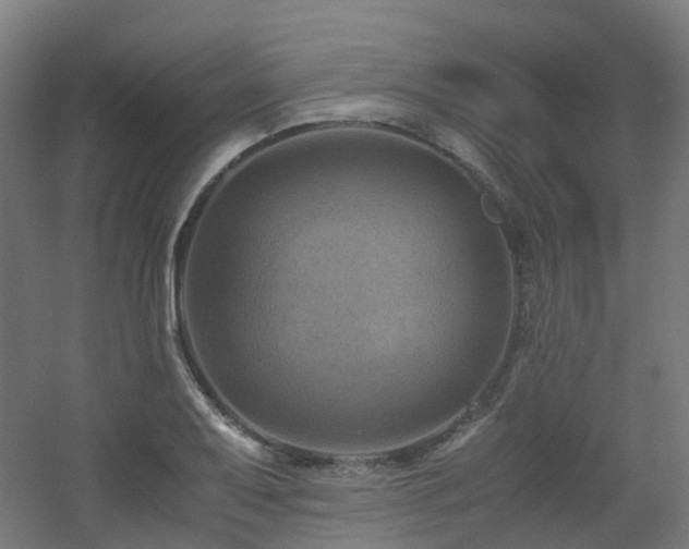 X0000060551079200511031210