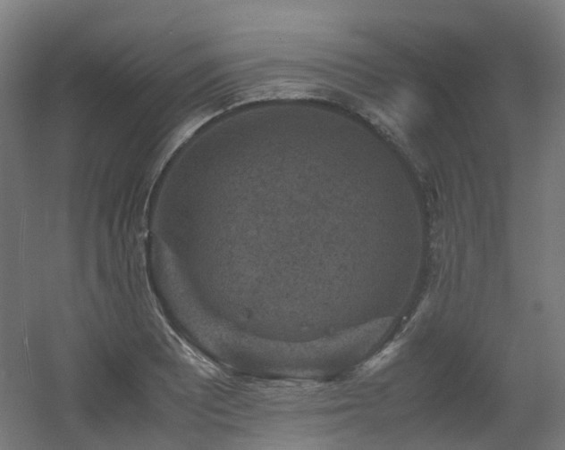 X0000060551081200511031210
