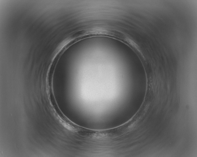 X0000060551082200511031210