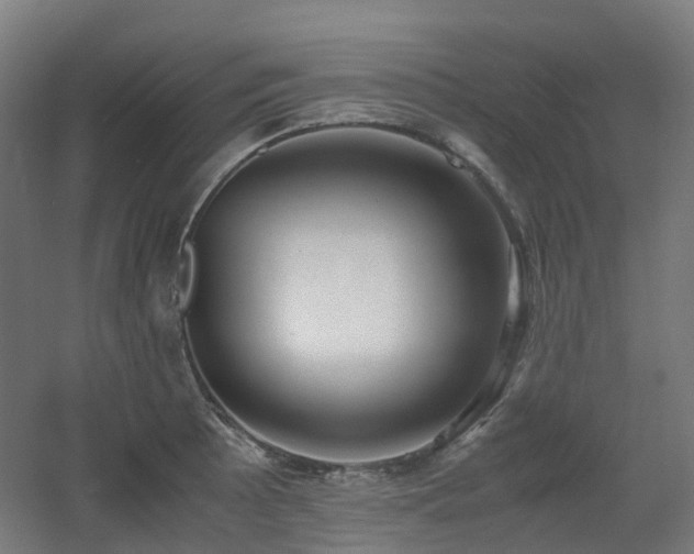 X0000060551089200511031210