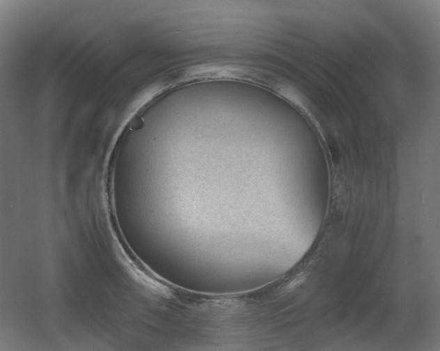 X0000060551090200511031210