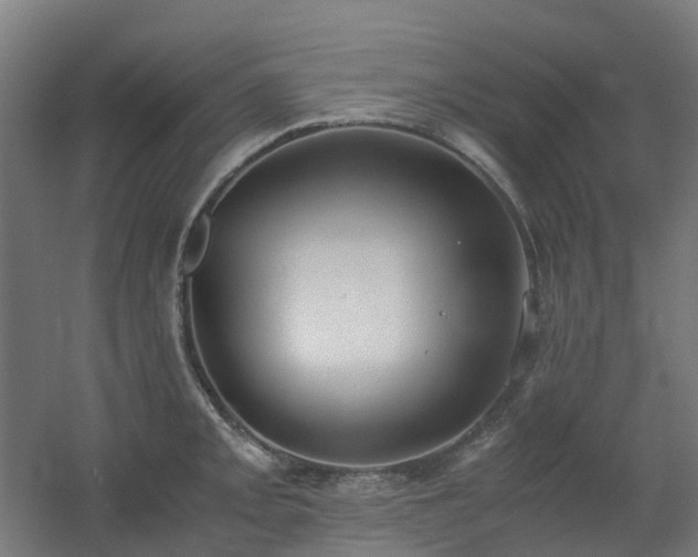 X0000060551093200511031210
