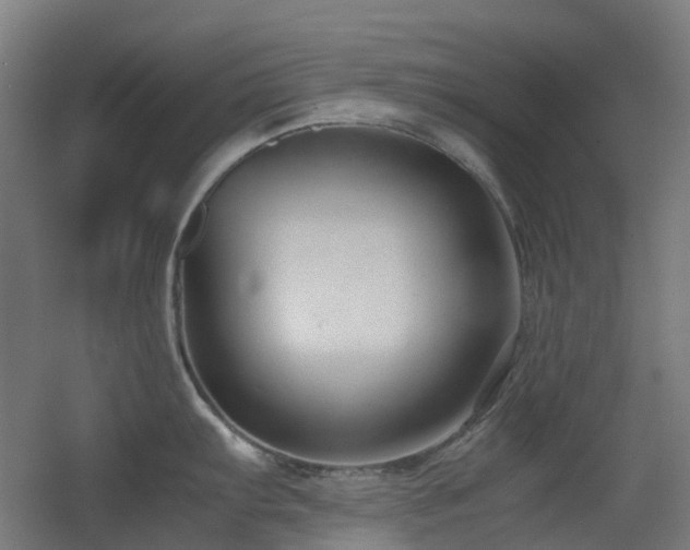 X0000060551103200511031210