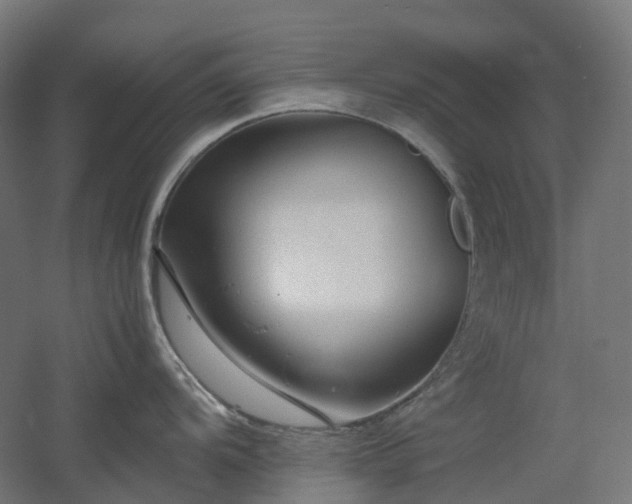 X0000060551104200511031210